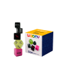 Ooo 5 Dice Set